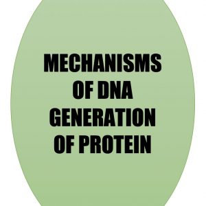 Read more about the article DNA Generation of Protein Mechanisms
