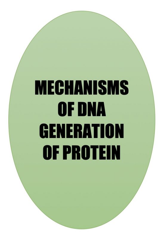 DNA Generation of Protein Mechanisms