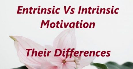 DIFFERENCES BETWEEN EXTRINSIC AND INTRINSIC MOTIVATION