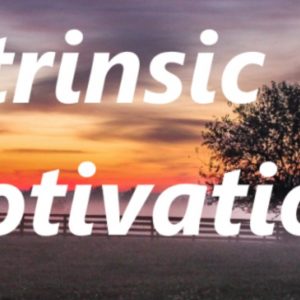 INTRINSIC MOTIVATION : Live Example of Intrinsic Motivation