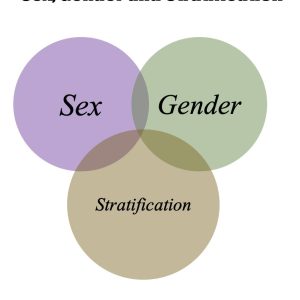 Read more about the article Sex, Gender & Stratification