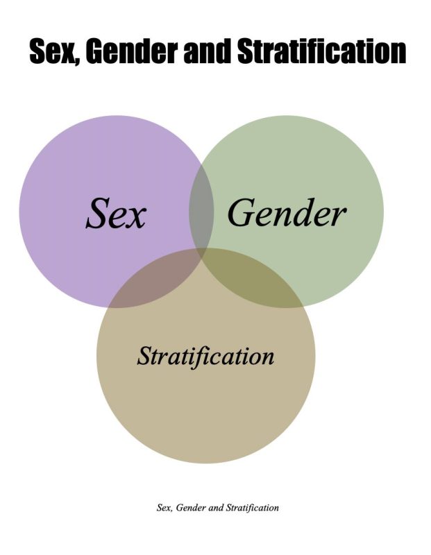 You are currently viewing Sex, Gender & Stratification